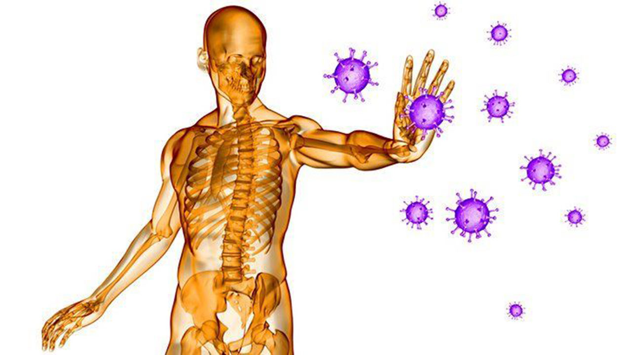 5 Ciri dan Penyebab Penurunan Sistem Imun Tubuh, Cek Imun Sekarang!